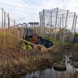 Islands - 13/01/2019