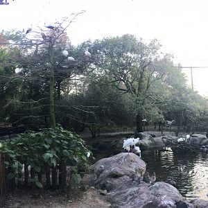 River Valley Aviary Entrance