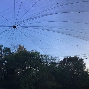 River Valley Aviary Netting Canopy System