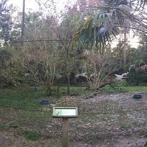 River Valley Aviary Large Free Flight Exhibit