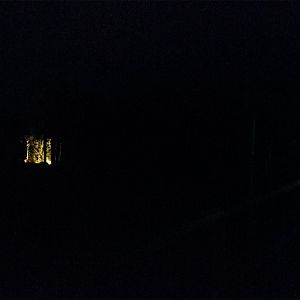 Zoo Lights Giraffe Exhibit