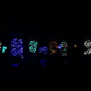 Zoo Lights Trout River Plaza