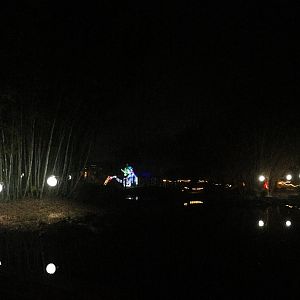 Zoo Lights Asian Bamboo Garden
