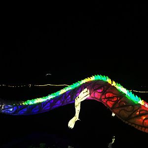 Zoo Lights 40 Foot Lighted Dragon