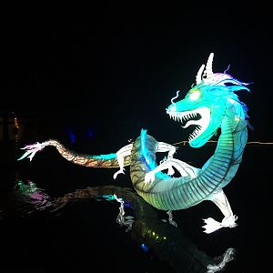 Zoo Lights 40 Foot Lighted Dragon