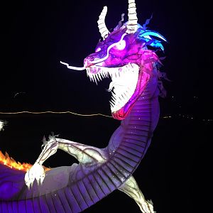 Zoo Lights 40 Foot Lighted Dragon