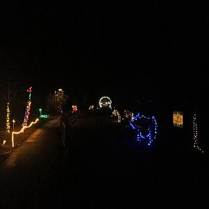 Zoo Lights Wildlife Lights