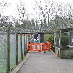 Nocturnal House, January 2019