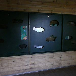 Pygmy slow loris enclosure, Monkey Heights, January 2019