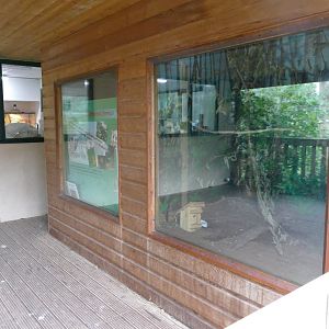 Hazel dormouse enclosure, January 2019