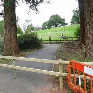 Former lechwe enclosure, January 2019