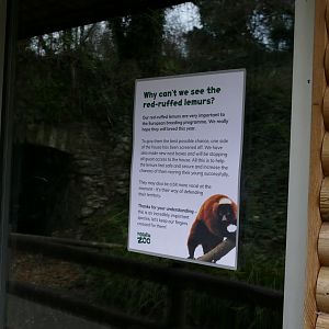 Red-ruffed lemur house, January 2019