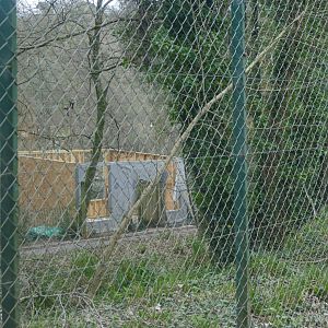 New gibbon house? January 2019