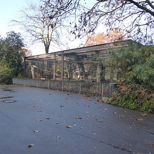 Big cat enclosure 011218