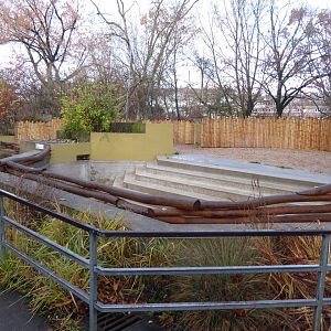 Malayan tapir outdoors 011218