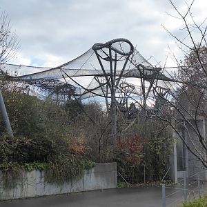 Bonobo outdoors 011218