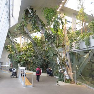 Inside the 'Ape House' 011218