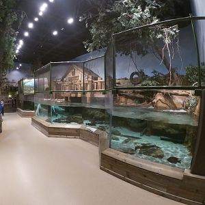 Jan. 2019 - Gator Alley - White Alligator Exhibit (Former Home of Mighty Mike)