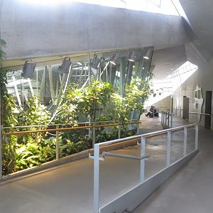 Inside the 'Ape House' 011218