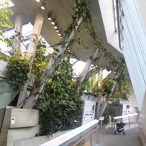 Inside the 'Ape House' 011218