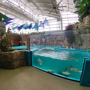 Jan. 2019 - Stingray Hideaway (New 2017)