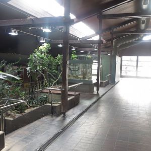 Giraffe House indoors 011218