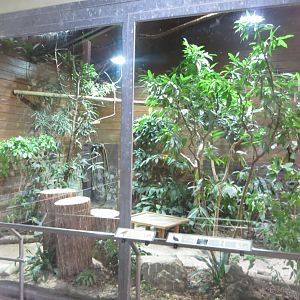 Giraffe House - aviary 011218