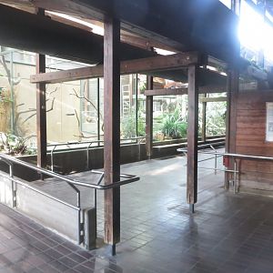 Giraffe House indoors 011218