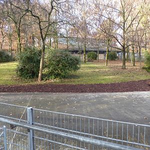 Okapi enclosure 011218