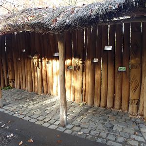 Viewing screen for Bongos 011218