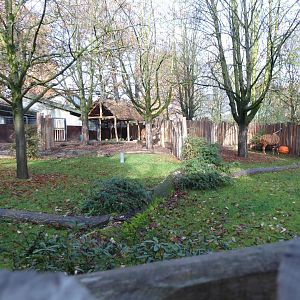 Bongo enclosure 011218