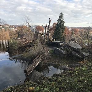Spectacled bear enclosure 011218