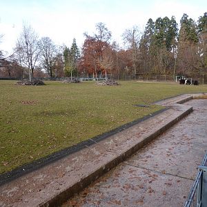 Mixed South American enclosure 011218