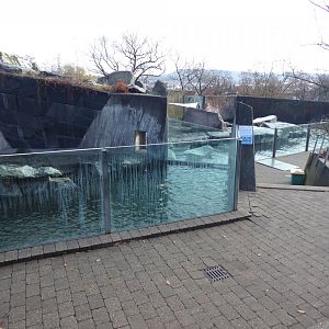 California sea-lion enclosure 011218