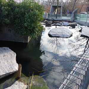 American beaver enclosure 011218