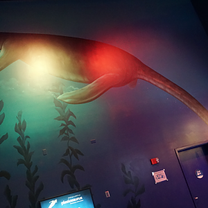 Jan. 2019 - Plesiosaur