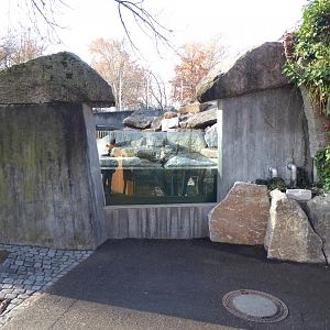 American beaver enclosure 011218