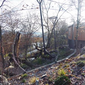 Snow leopard enclosure lower part 011218