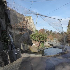 Striated caracara aviary 011218