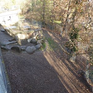 Tajik markhor enclosure 011218