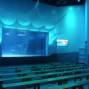 Jan. 2019 - Shark Ray Bay Theater