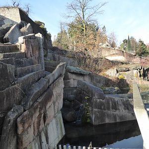 Syrian brown bear enclosure 011218