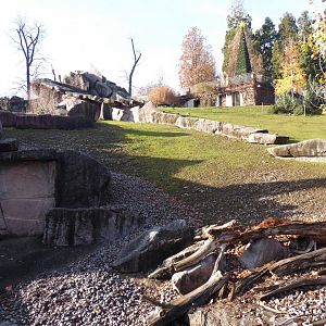 Alpine ibex enclosure 011218