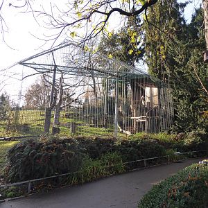 Griffon vulture aviaries 011218