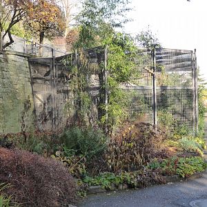 Subtropenterrassen - Waldrapp aviary 011218