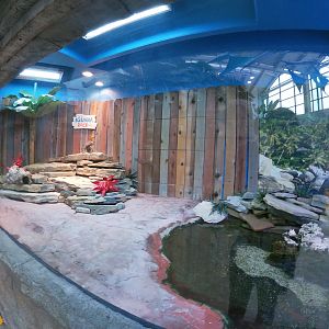 Jan. 2019 - New 2017 Stingray Hideaway - Iguana Rock (3 Species)