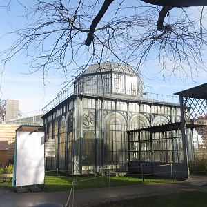 Oberes Kakteenhaus 011218