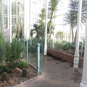 Oberes Kakteenhaus 011218