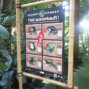 Tropenvoegel House - Silent Forest sign 011218