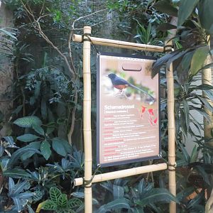 Tropenvoegel House - example signage 011218